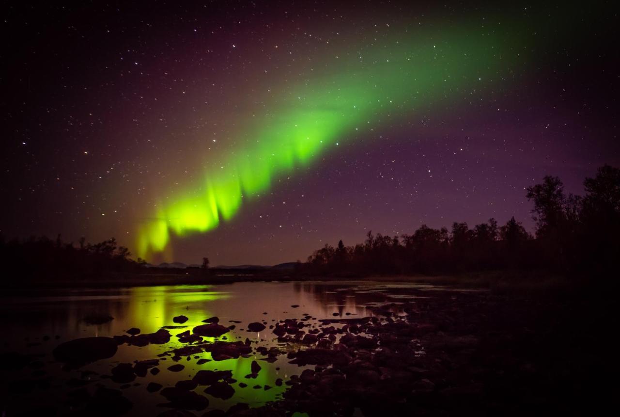 Arctic Gourmet Cabin كيرونا المظهر الخارجي الصورة